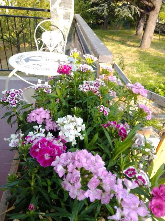 Casa T Bed And Breakfast & Home Restaurant Di Tacchino Simone Tagliolo Monferrato Zewnętrze zdjęcie